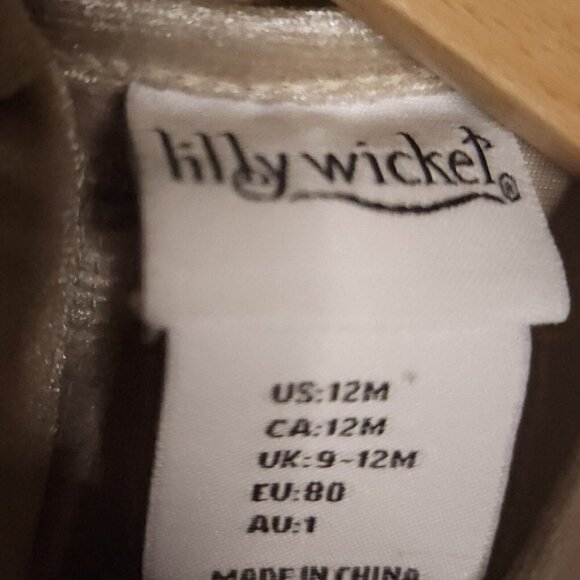 Lilly Wicket Toddler Girls Taupe Velour Tunic 12 Months - Picture 5 of 7